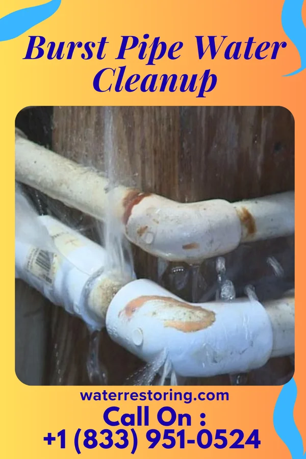 Burst Pipe Water Cleanup in Olean, NY