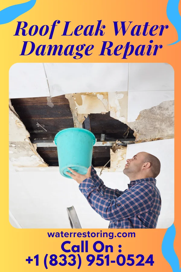 Roof Leak Water Damage Repair in Olean, NY