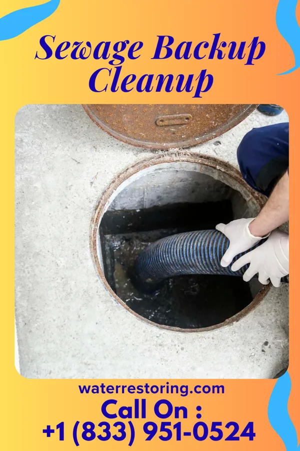 Sewage Backup Cleanup in Olean, NY