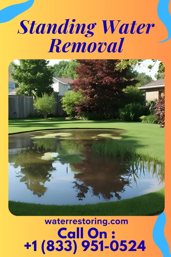 Standing Water Removal in Olean, NY